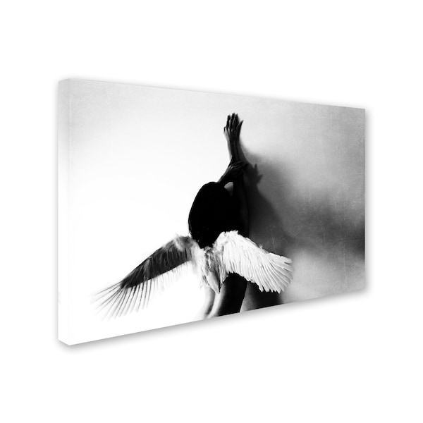 Keisuke Ikeda 'Not Fly' Canvas Art,16x24